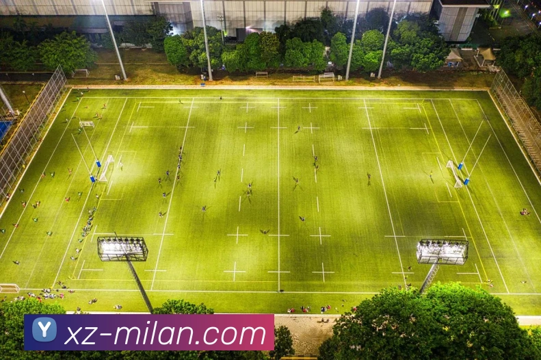 多媒体互动体验